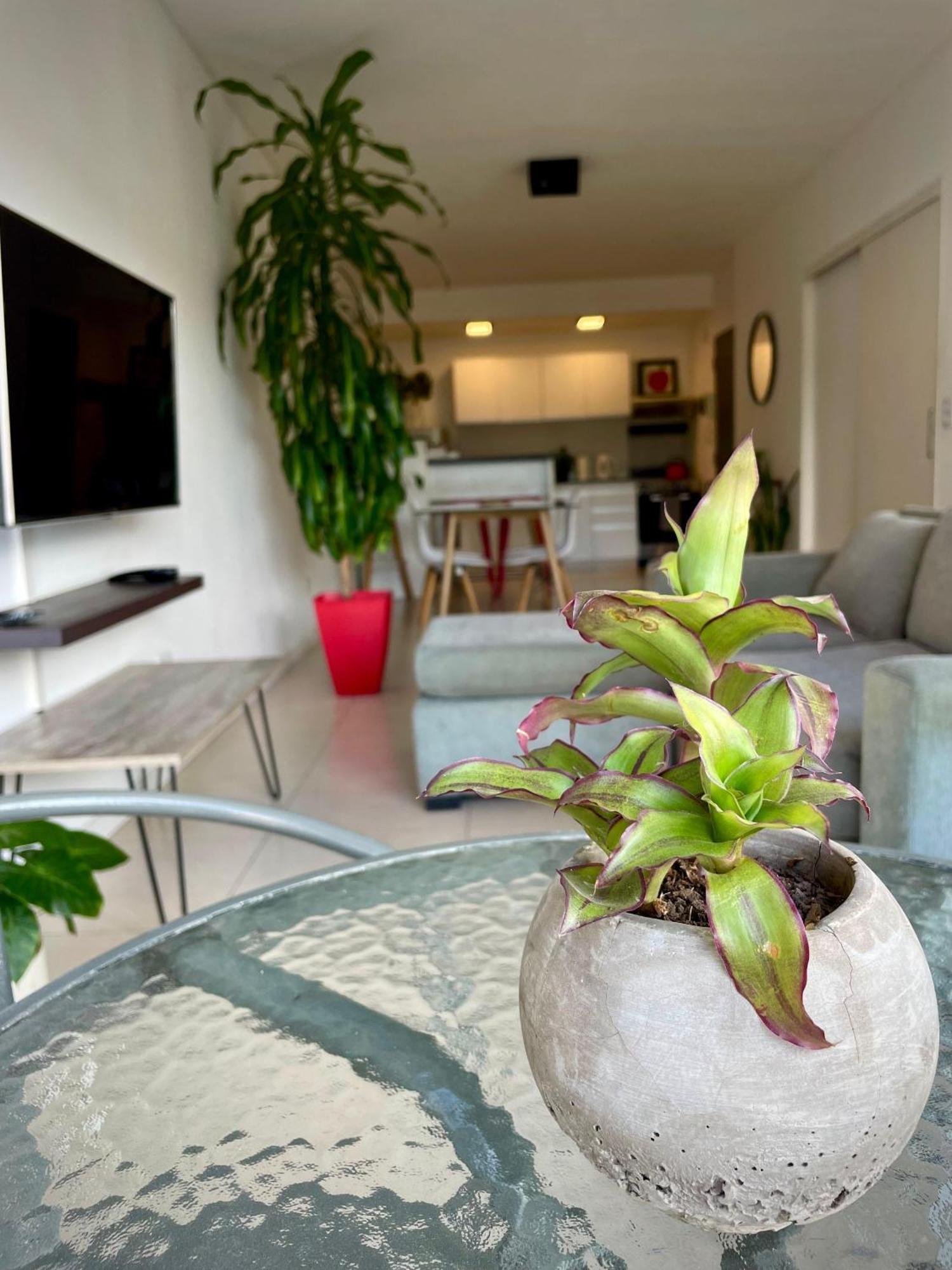 Palermo Hollywood Apartment Buenos Aires Exterior photo